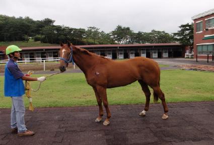 �߿����� ����