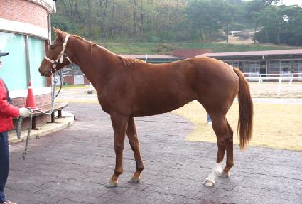 �ݺ��̼� ����