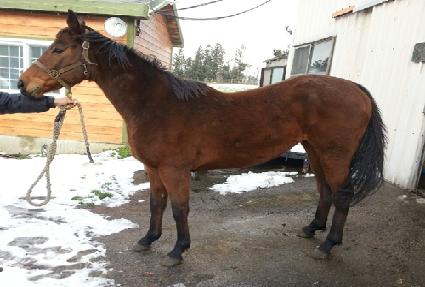 �����ۼҴ� ����