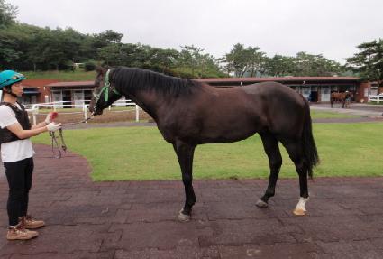 �������ǵ� ����