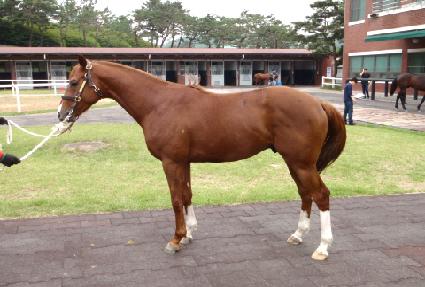 �Ƹ����� ����