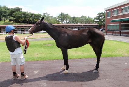 ���ͼ���Ʈ ����