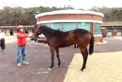 ����Ʈ�� ����