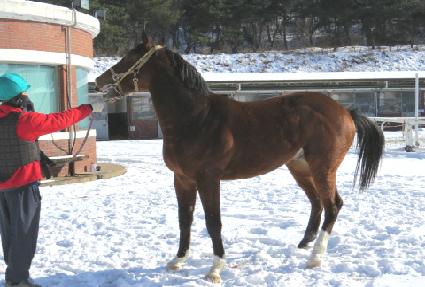 �����ǲ� ����