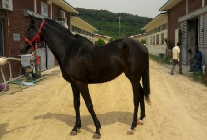 õ��ó�� ����