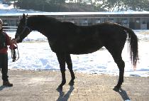 ���̷ε� (J ROAD) ����