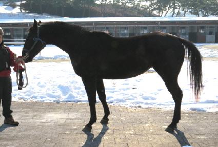 ���̷ε� ����