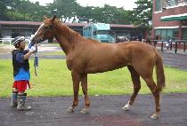 �����¸� (OJIK SEUNGNI) ����