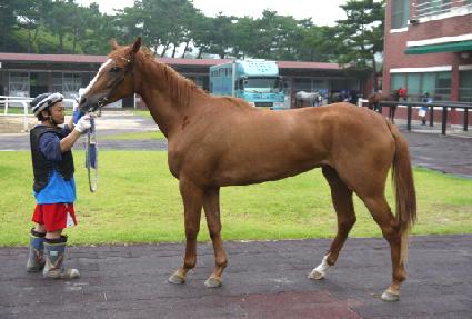 �����¸� ����