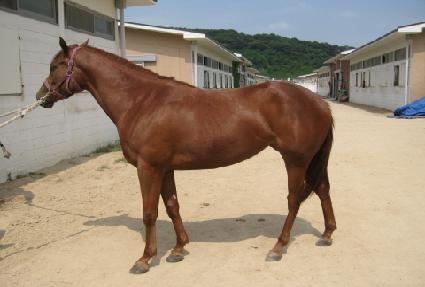 �����ǰ�� ����