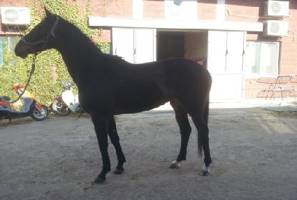 ������� ����