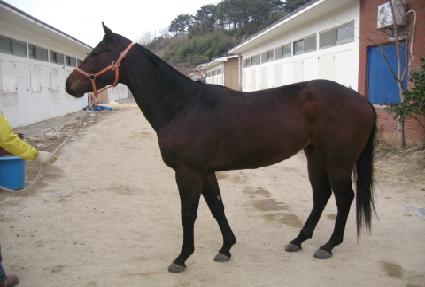 ����Ư�� ����