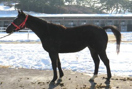 ���̾����� ����