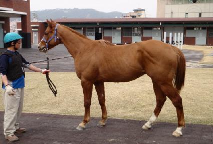 ����ž ����