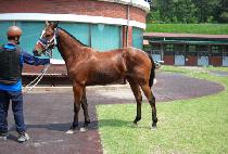 ���̾���ġ (DIA TOUCH) ����