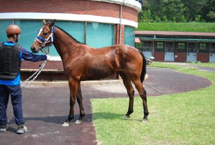 ���̾���ġ ����