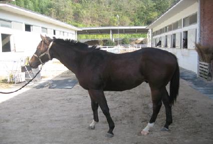 ��Ű ����