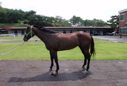 ���̾� ����