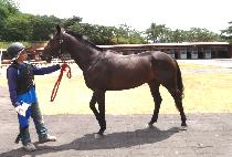 ��õ���� (GWACHEON JEONGBEOL) ����