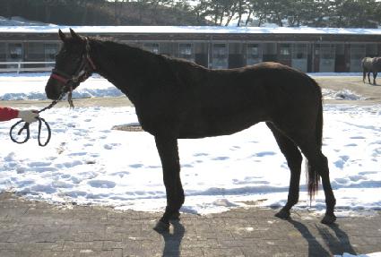 û������ ����