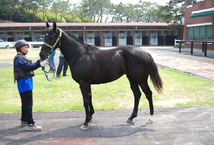 ��ī�� ����