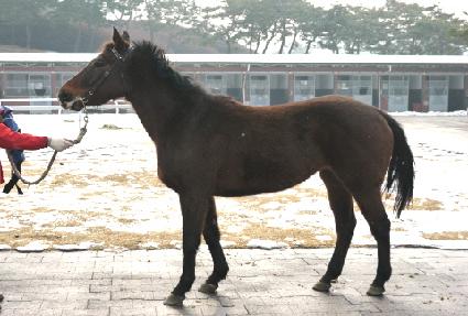 ���߸�Ŭ�� ����