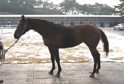 ���ο�Ҳ� ����