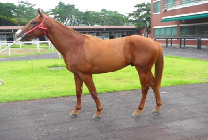 ��ī��ȣũ ����