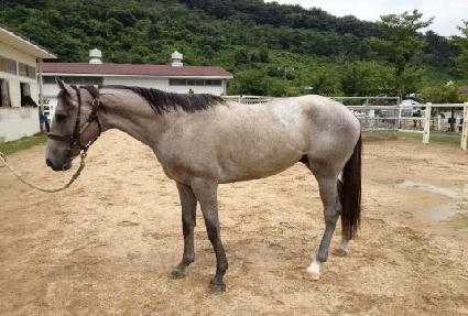 �������̽� ����