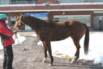 ű���̵� ����