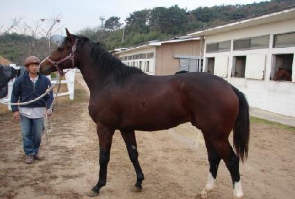 ����ũ ����