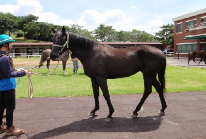 �ǳ봩�� ����