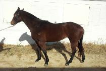 ������������ (LIFE IS COOL) ����