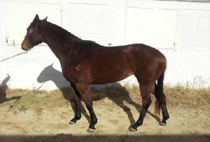 ������������ ����