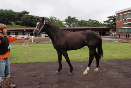 ���䴩�� ����