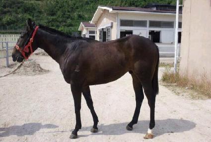 ������ ����