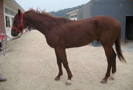 �÷���ķ�� ����