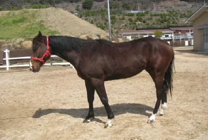 �۷ι����� ����