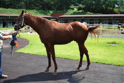 ���������� ����