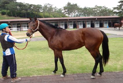 ���ͼ�Ʈ�� ����