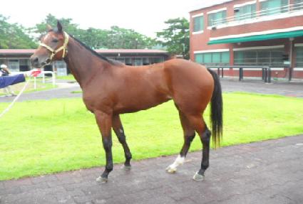 �ְ���� ����