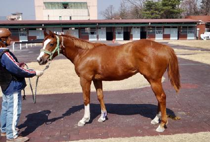 è�Ǿ�ķ�� ����