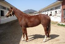 ���ռ� (JEWANG SEONG) ����