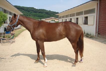 ������� ����