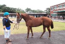 CHOEGOUI DEUNGBUL picture