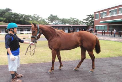 �ְ��ǵ�� ����