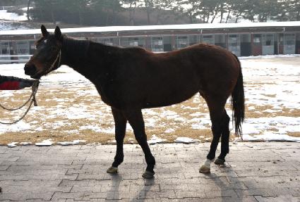 �Ƽ��� ����