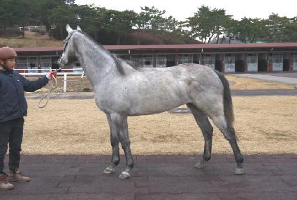 û���� ����