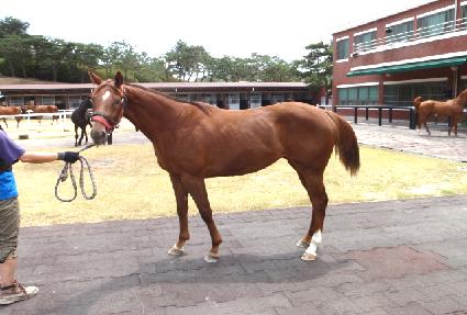 ���̷�Ű ����