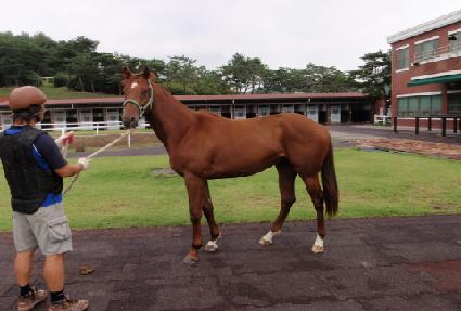 ǻó�� ����